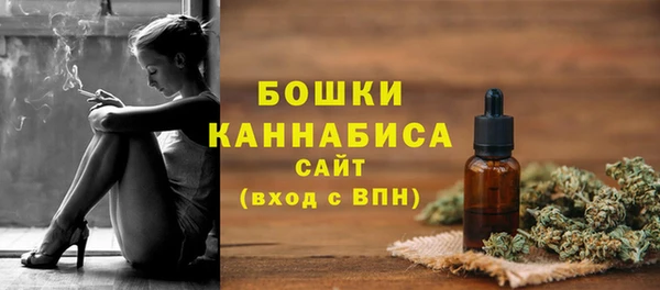хмурый Надым
