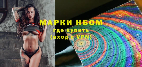 хмурый Надым
