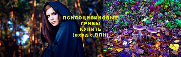 хмурый Надым