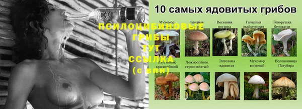 винт Осинники