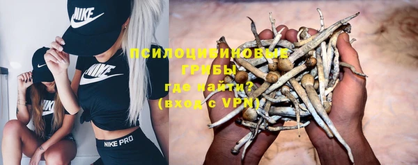 хмурый Надым